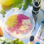 Akkermansia muciniphila : impact sur les performances aérobies des athlètes